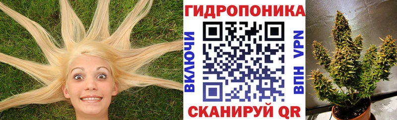 Бошки Шишки индика  Купить закладки  Партизанск 